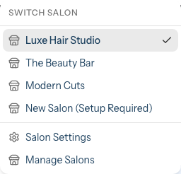 The salon switcher dropdown listing each salon under a Switch Salon heading, with Salon Settings and Manage Salons options