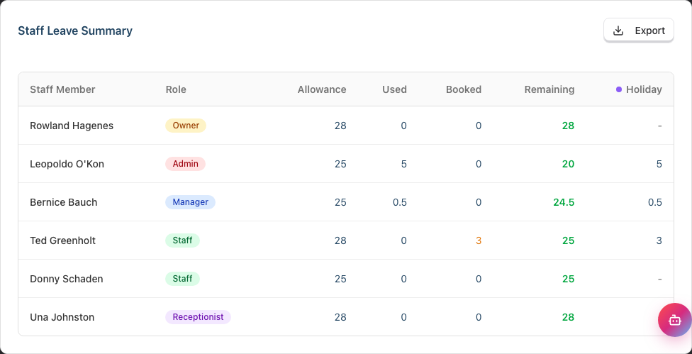The Staff Leave Summary table with the Allowance, Used, Booked and Remaining columns and a Holiday column
