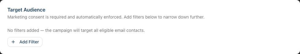 The Target Audience step showing the empty segment filter builder with an Add Filter button