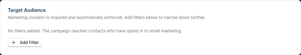 The Target Audience step showing the empty segment filter builder with an Add Filter button