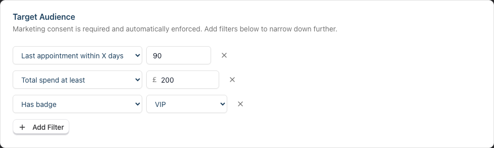 The Target Audience card with three segment filters added β a number of days, a currency amount, and a badge selection β and the Add Filter button below them